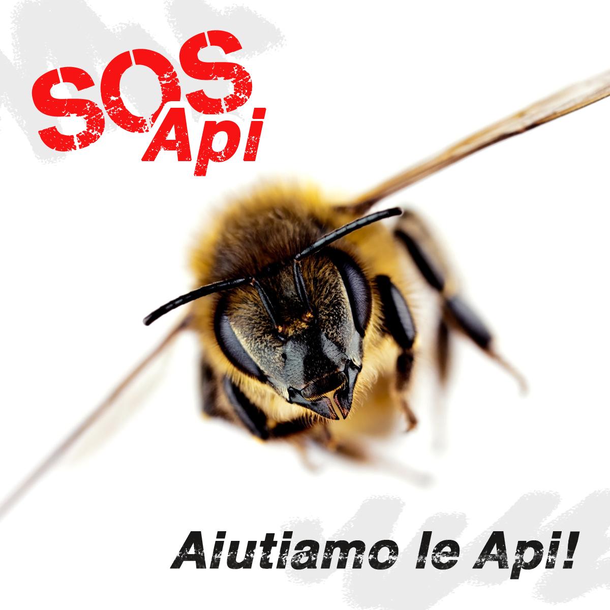 SOS Api | Apinfiore
