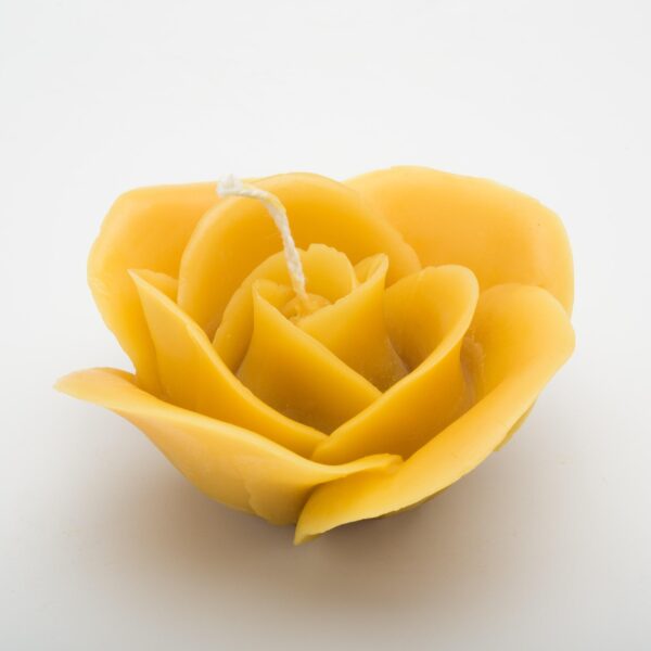 Rose öffnen