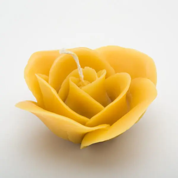Rose öffnen