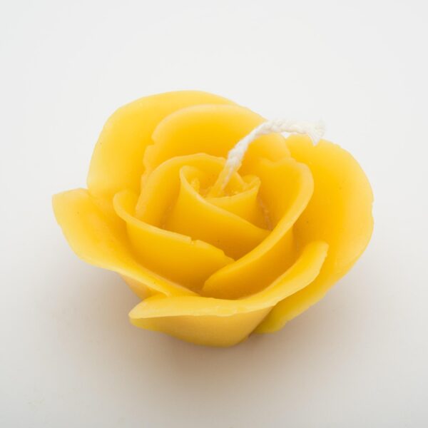 Kleine Rose