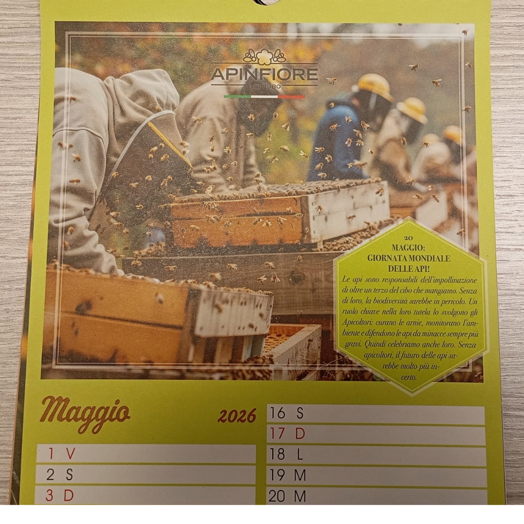 maggio